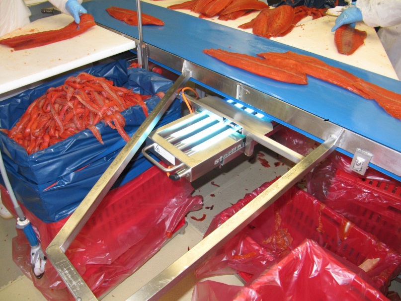 sterilAir Conveyor Belt Disinfection