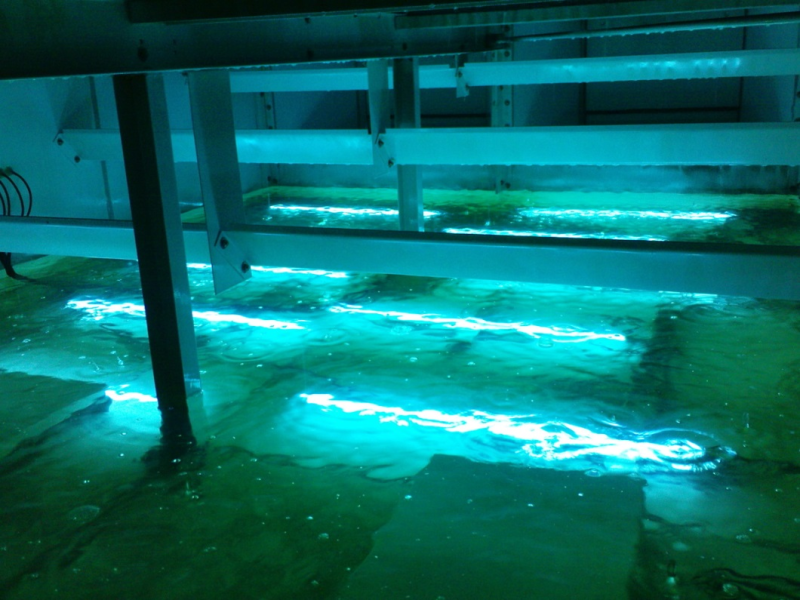 sterilAir Water Disinfection – Test Category